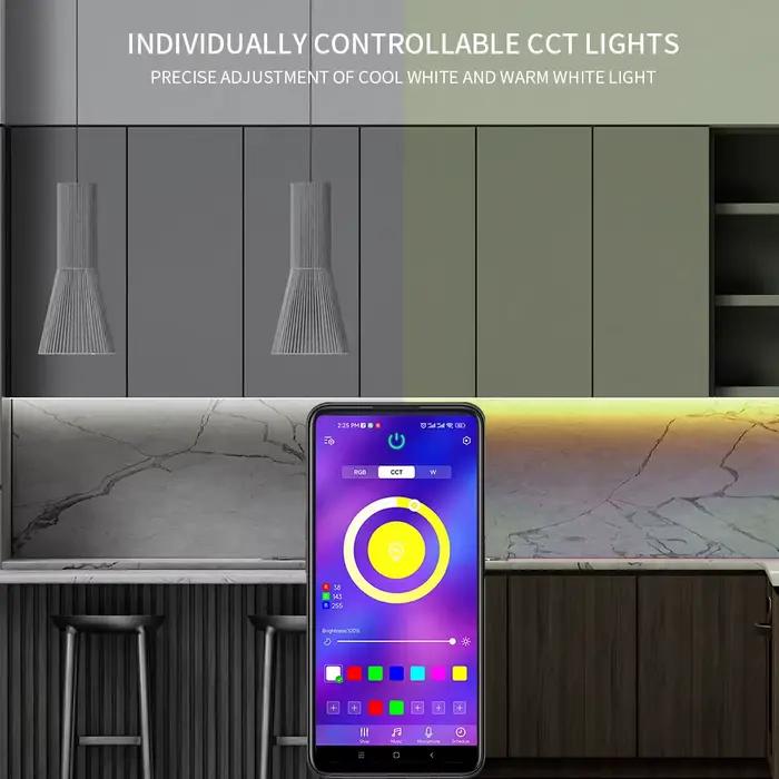WS2811 WS2812 Bluetooth RGBIC LED Contrôleur 2.4G 24 prédire Télécommande Bluetooth Andrea For WS281