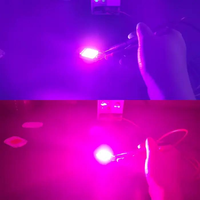 Puce LED COB 220V, Module 50W 30W 20W Natura, blanc froid et chaud, UV rose vert or bleu rouge pour