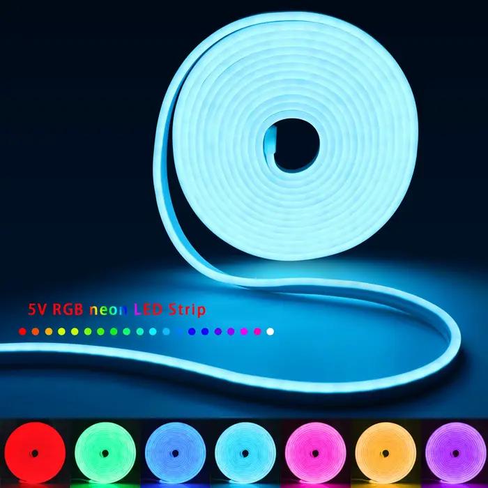 Bande Néon LED RGB USB DC5V, 1/2/3/4/5m, Étanche IP65, Application Bluetooth et Télécommande pour Éc