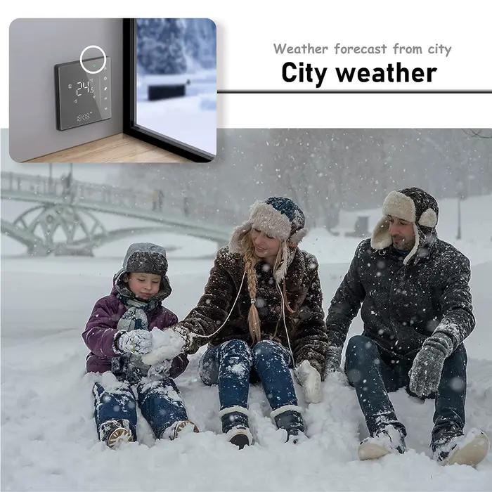 Thermostat WiFi intelligent 220VAC 24V