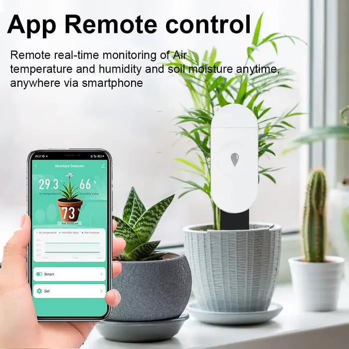 Tuya Zigbee – détecteur de température et d'humidité