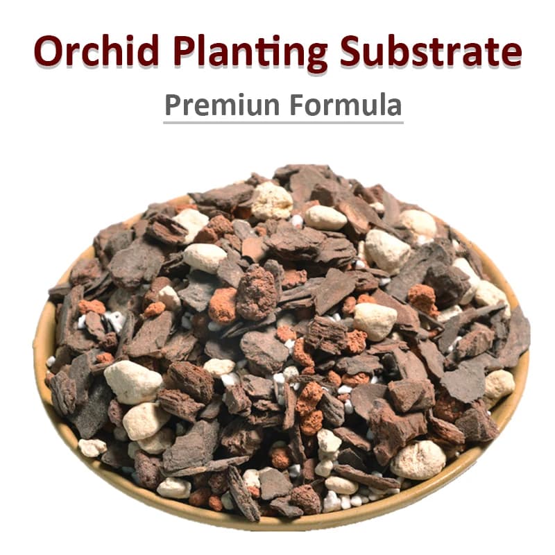 Navigateur de plantation de support d'orchidée à dégagement lent, XXL de croissance d'orchidées, sol