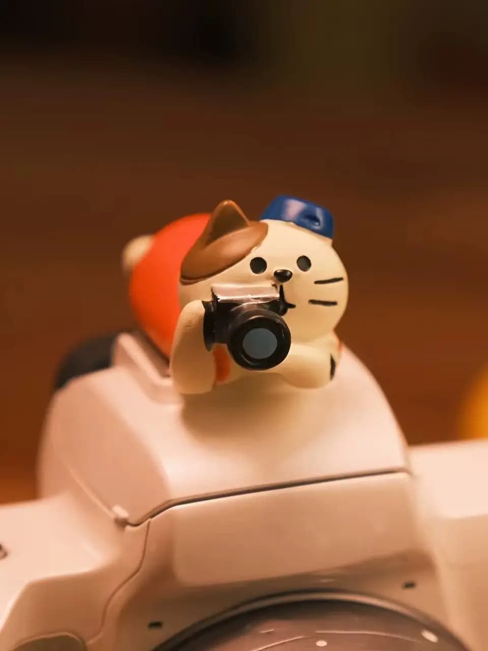 Couverture de chaussure chaude pour appareil photo de dessin animé de chat mignon-résine ABS, access