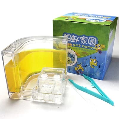 Fouets ferme fourmis maison château insectes transparents Terrarium fourmi Cage insectes boîte obsvé