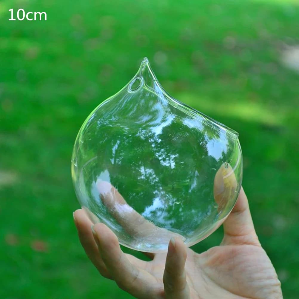 Vases à plantes hydroponiques Vintage 10/12cm, Pot de fleur Transparent, cadre en bois, plantes de t