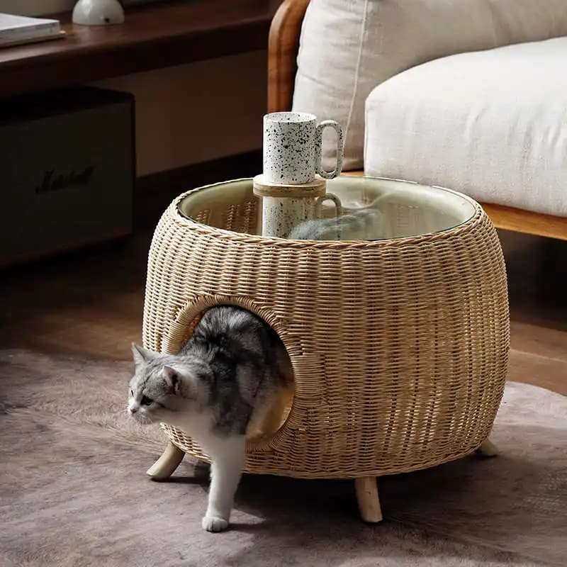 Petite maison de Style scandinave, Simple, en rotin véritable, pour personnes et chats, Table ronde,