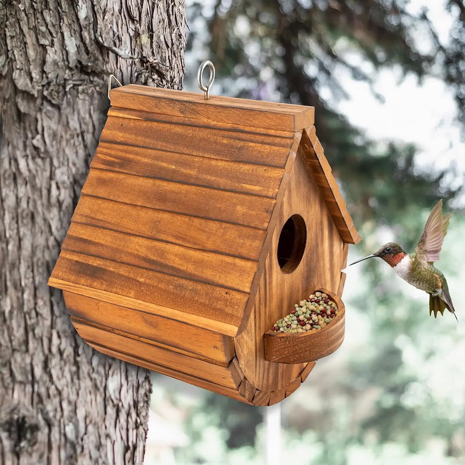 Boîtes à oiseaux pour l'extérieur, maison à oiseaux en bois pour l'extérieur, familles d'oiseaux, co