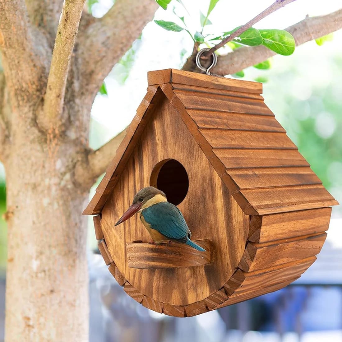 Boîtes à oiseaux en bois pour l'extérieur, maison à oiseaux en plein air, familles d'oiseaux, corbei