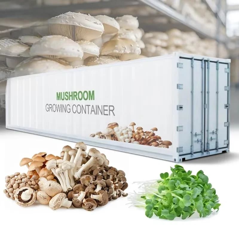 Système de culture vertical personnalisé pour champignons avec conteneur de culture, serre et chambr