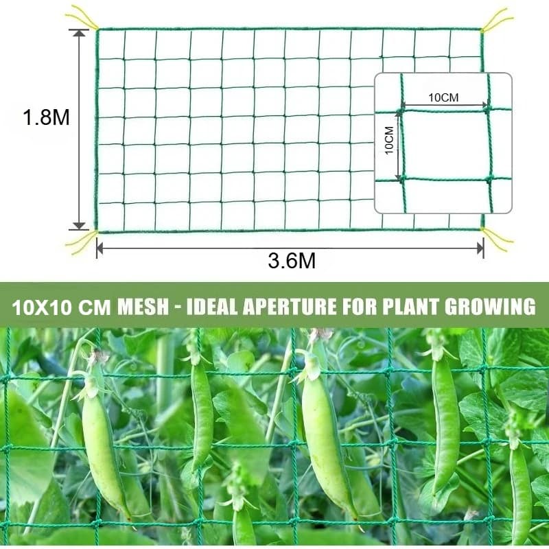 Grillage de treillis robuste pour plantes grimpantes d'extérieur, grilles de jardin, grilles carrées