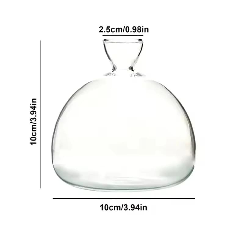 Vase en verre pour semis d'avocat, kit de culture d'avocat, pot de germination pour la maison, cadea