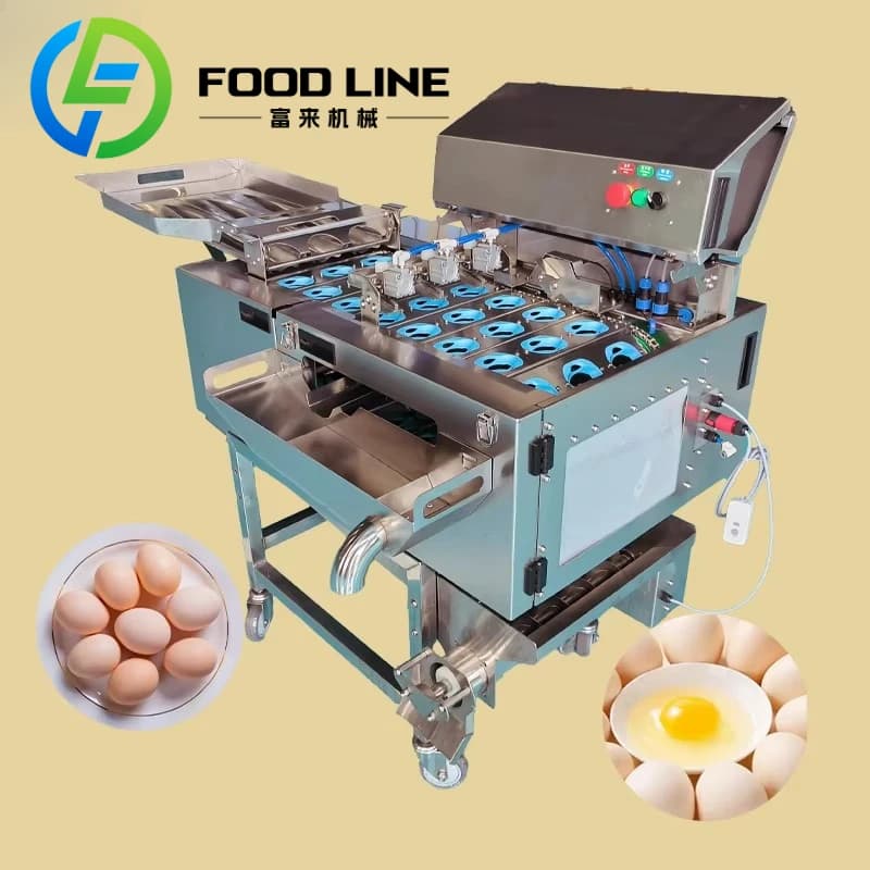Production automatisée / Cracker à œufs à trois rangées avec broyeur de coquilles