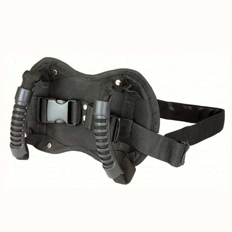 Ceinture de sécurité pour moto et Scooters, poignée de passager pour siège arrière, sangle antidérap