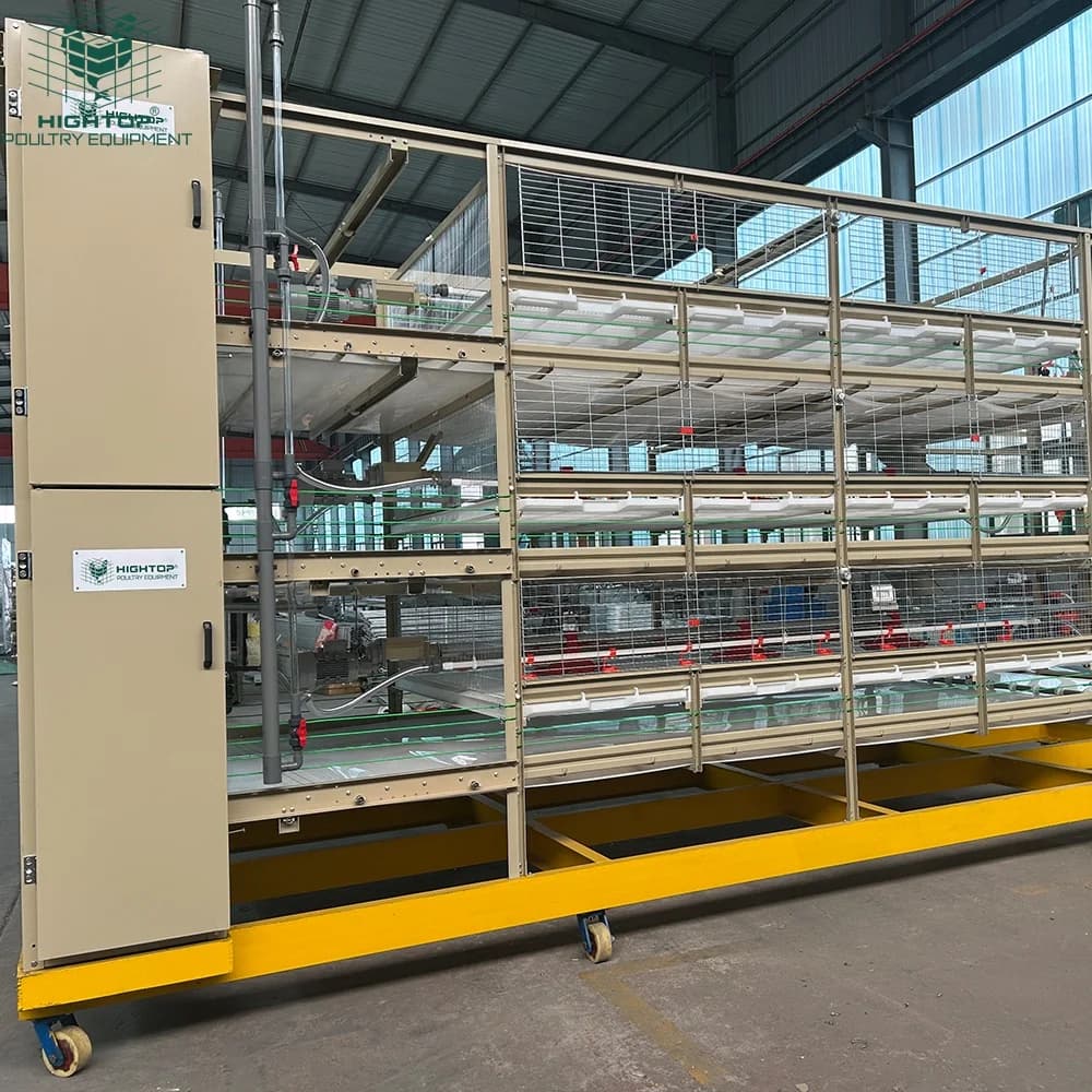 Équipement de cages à batterie pour poulets de chair, type H, pour élevages avicoles, avec système d