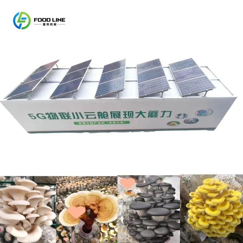 Conteneur Hydroponique Isolé 40HQ Personnalisé pour la Culture de Champignons en Intérieur, Système