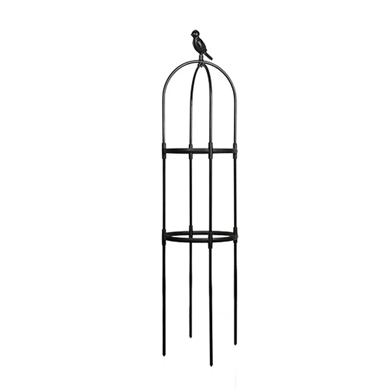 Support de jardin en treillis pour plantes grimpantes, cages pour plantes à fleurs, cadre de support