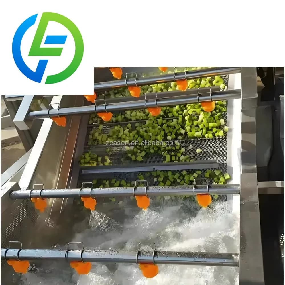 Machines à laver fraises et myrtilles Pomme Ligne de lave-légumes et fruits pour pommes de terre e