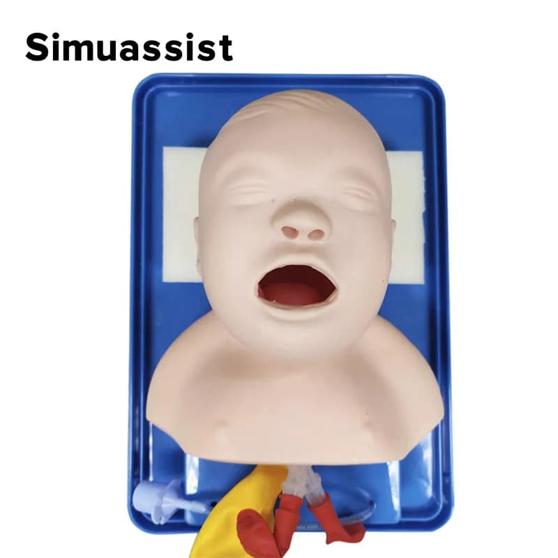 Simulateur d'intubation anti-glaciale pour nouveau-né, modèle analogique pour bébé, double poumon et