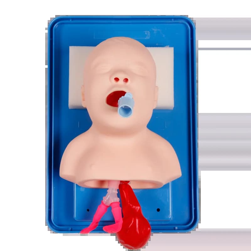 Simulateur analogique d'intubation anti-glhéale pour nouveau-né, modèle infantile, double poumon et