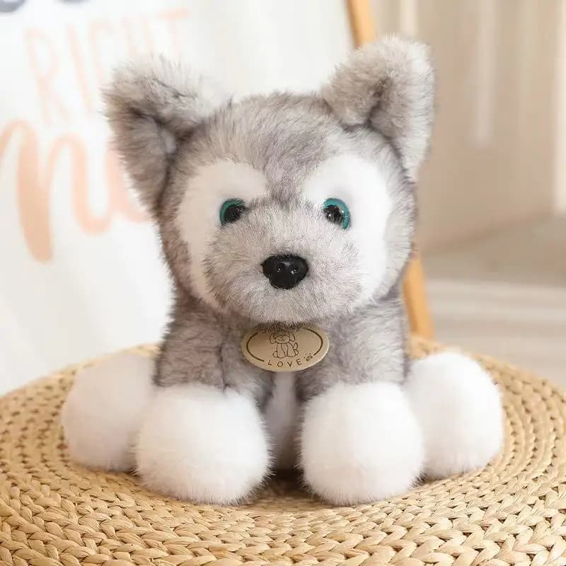 Jouets en peluche chien petit loup assis, doux et moelleux, chiot Husky, poupée, joli compagnon, ani