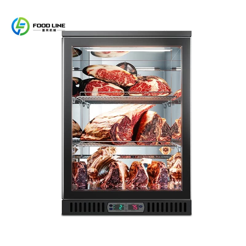 Armoire de maturation à froid pour viande, poisson et steak, équipement de réfrigération pour la mat