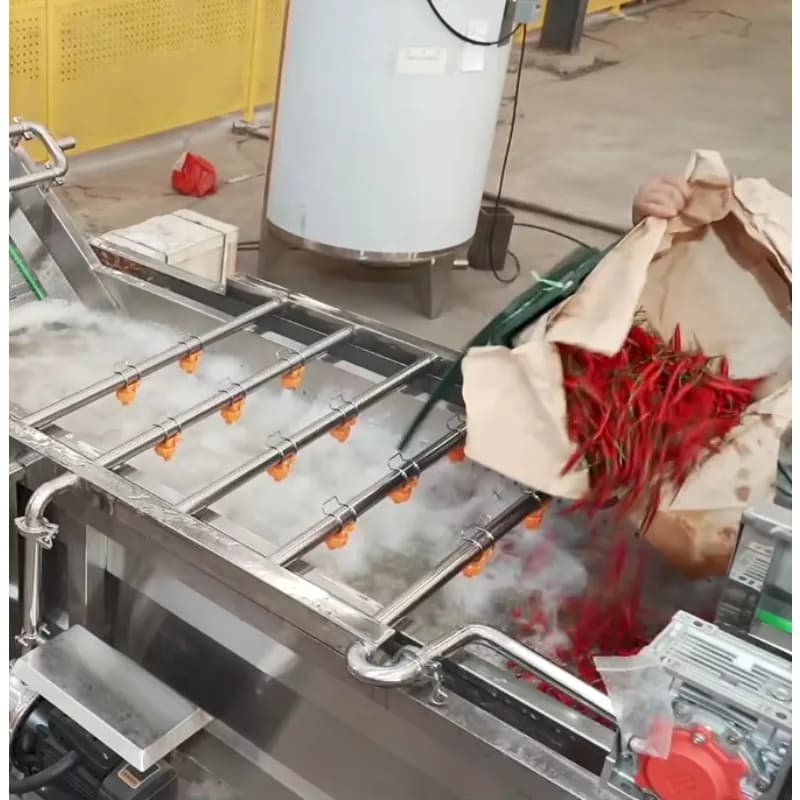 Ligne de sauce chili industrielle personnalisée de haute qualité, système de traitement de poivre en