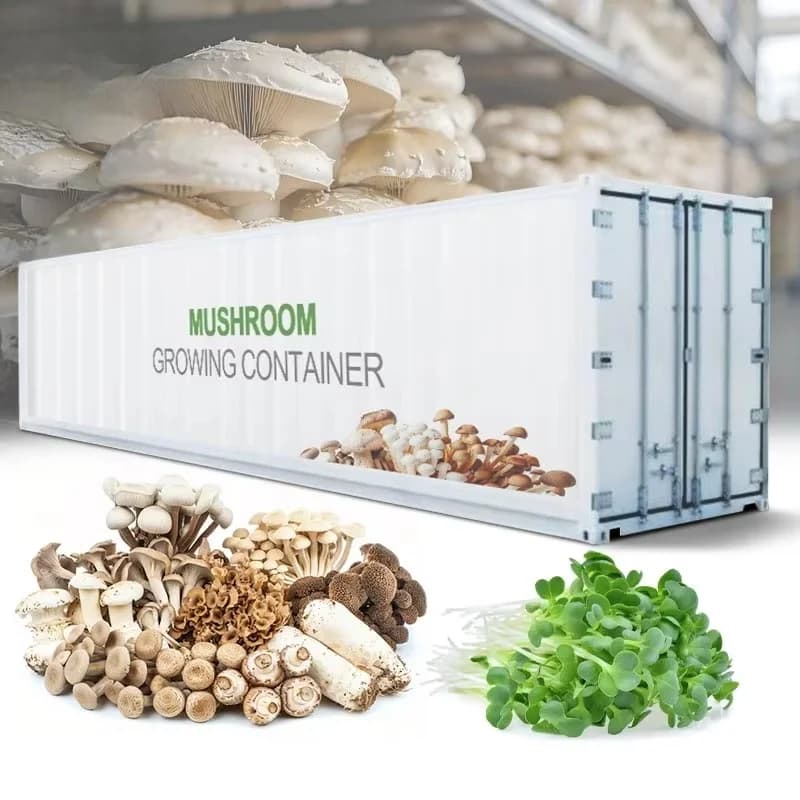 Conteneur de culture personnalisé de 40 pieds, système de culture hydroponique pour champignons, pou