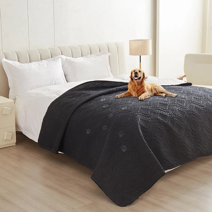Housse de lit imperméable pour chien, couverture pour meubles, protection de lit, housse de canapé p