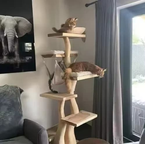 Arbre à chat en bois d'intérieur moderne de haute qualité, cadre d'escalade multicouche en sisal