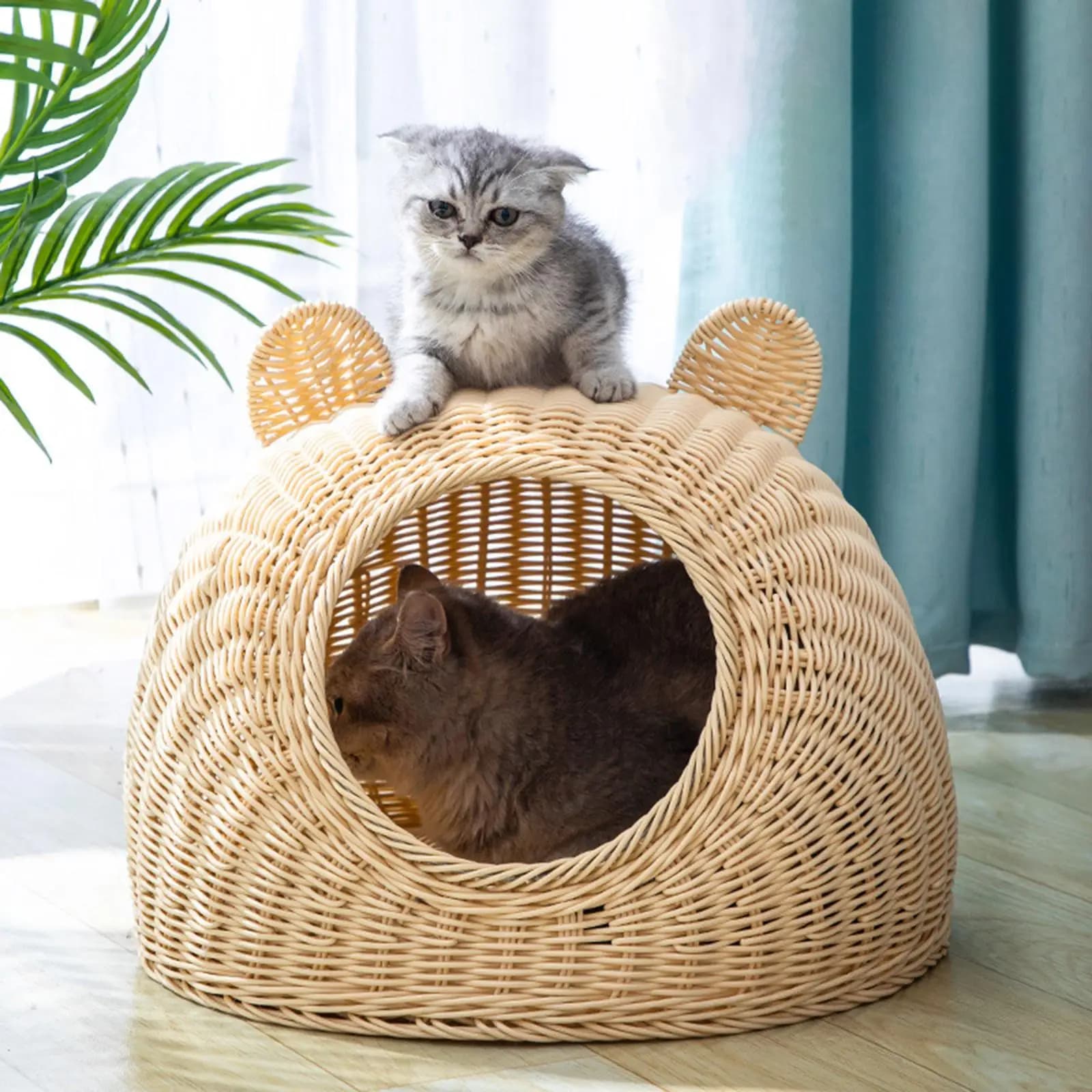 Lit pour chat tissé en rotin, nid Semi-fermé à fond plat pour chat d'intérieur, cachette pour chaton