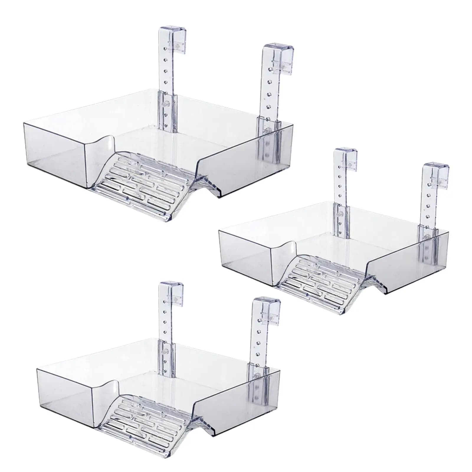Confrontal Turtle Basking Platform, Domining Terrace, Rampe de tortue transparente