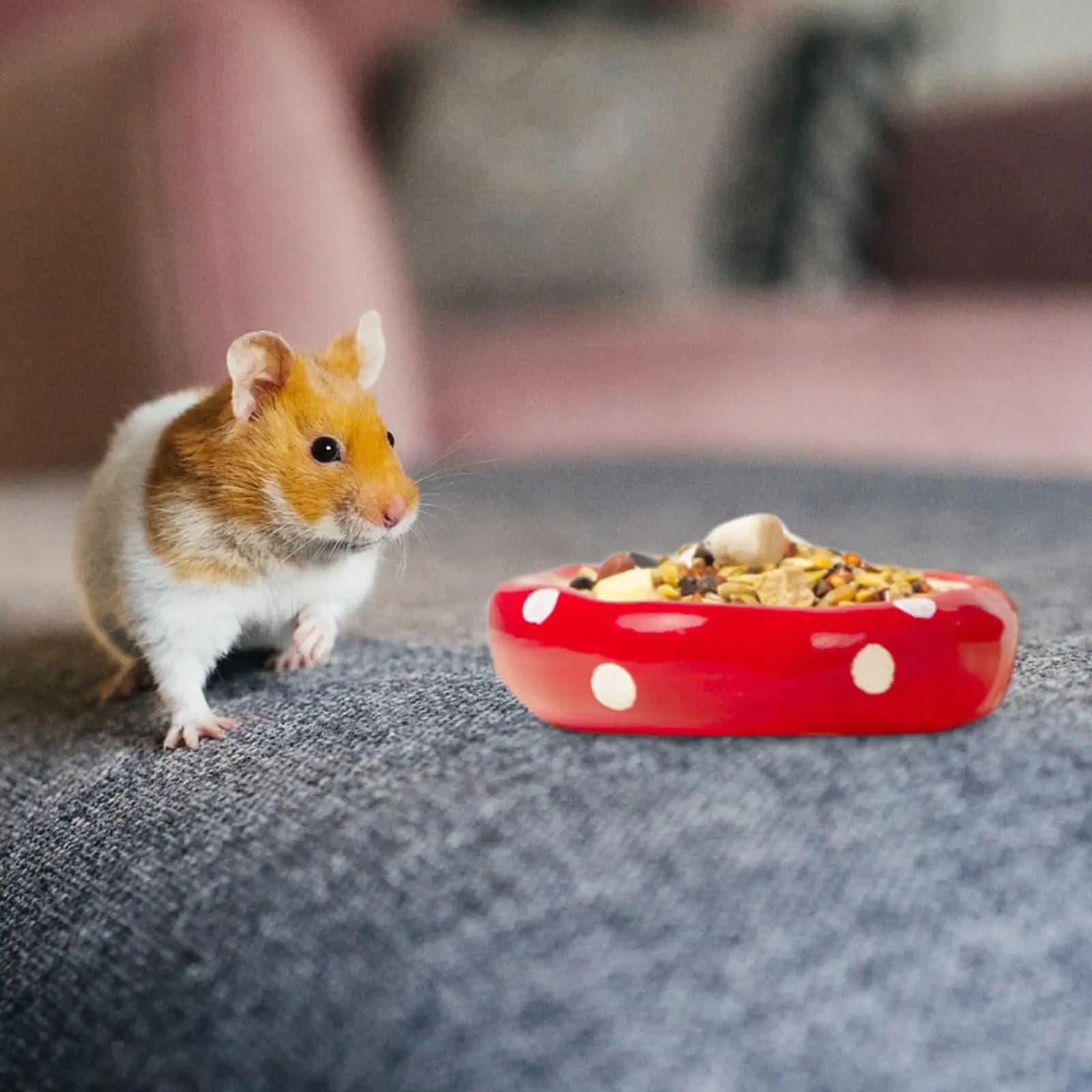 Maison de Hamster en céramique, nid de Hamster, robuste, mignon et Durable, habitat pour gerbilles,