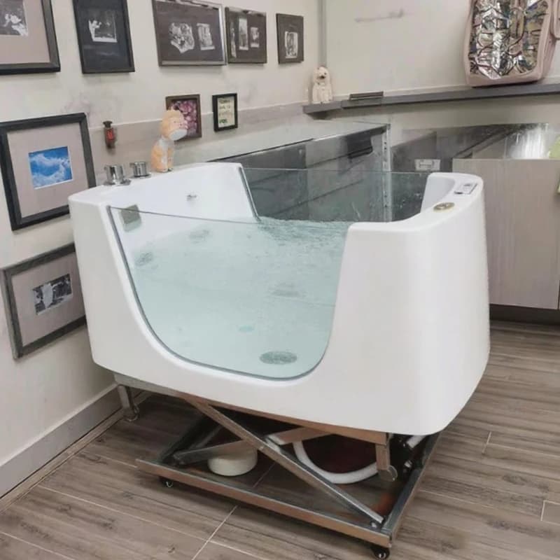 Salon de toilettage électrique en acrylique pour animaux de compagnie : baignoire pour chien avec th