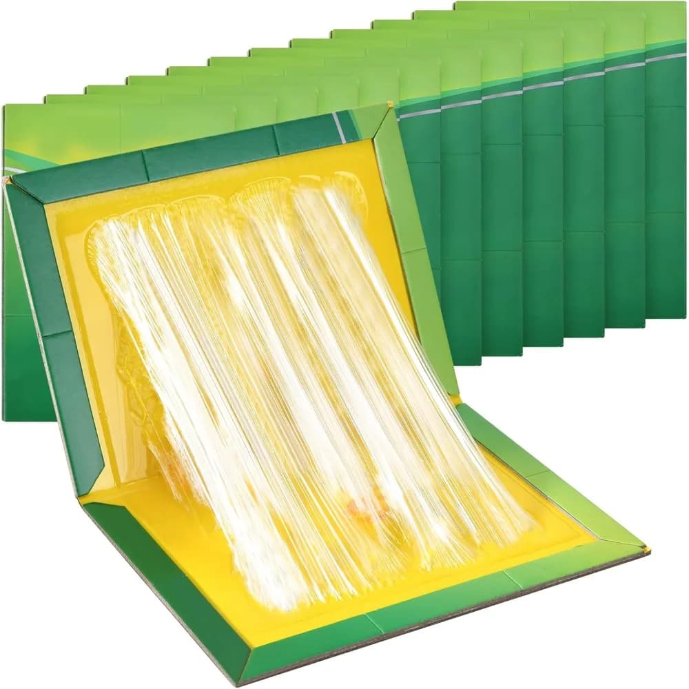 Pièges à souris d'intérieur pour la maison - Pack de 5/10 pièges à souris collants, plaques collante