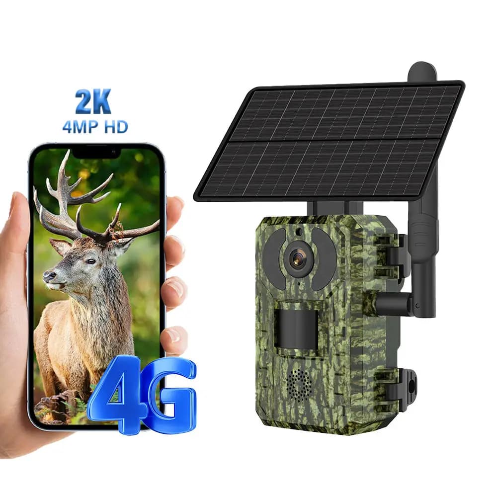 Caméra de surveillance pour la faune, énergie solaire, 4K, avec Vision nocturne 1080P, étanche, appl