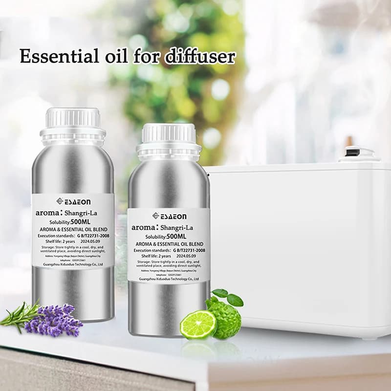ESAEON – huile essentielle d'aromathérapie de luxe, grande bouteille d'hôtel, adaptée aux supplément