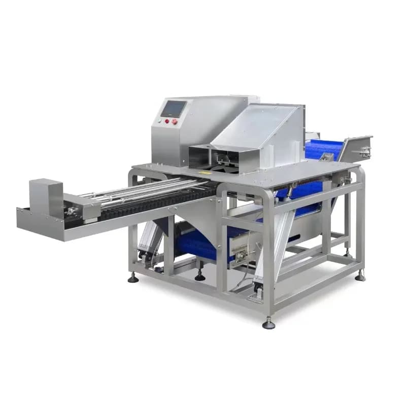 Machine de découpe de poisson personnalisée pour l'industrie, pour maquereau espagnol, morue, pangas