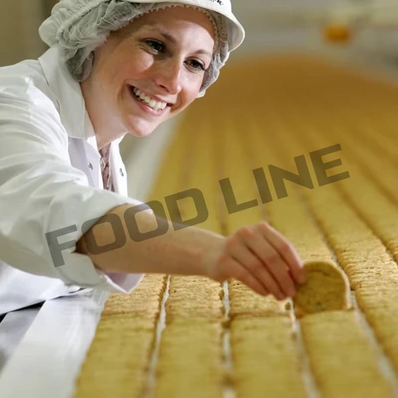 Ligne de production de biscuits dur à petite échelle, machine de fabrication de biscuits salés entiè