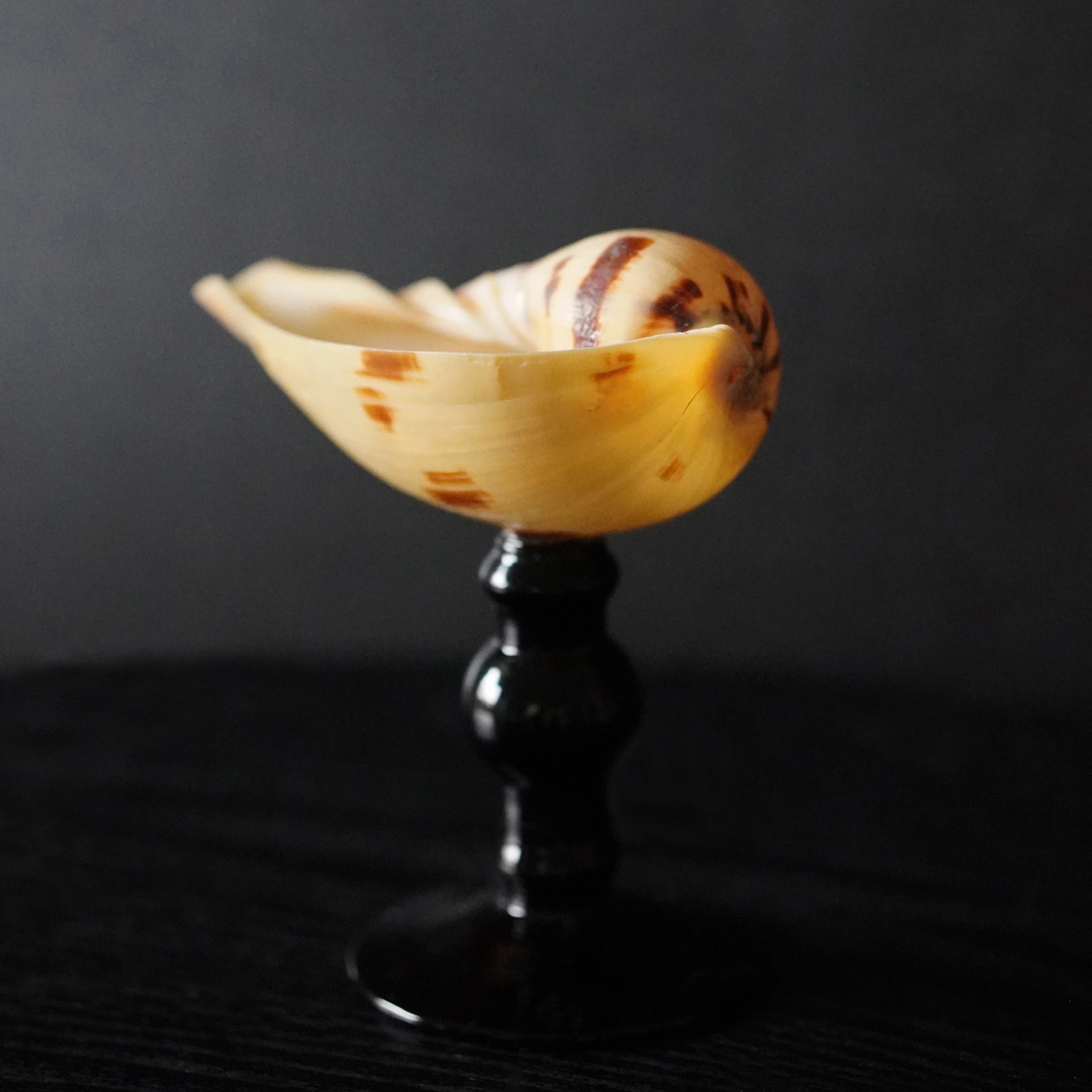 Tasse en coquille de conque naturelle, verre à boire fait à la main, pied haut, cadeau créatif, uste
