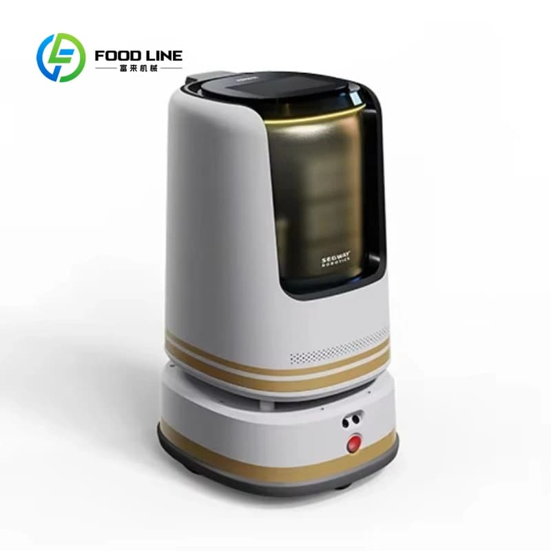 Robot de bras robotique Commercial personnalisé, livraison en plein air, Guide de bienvenue, Restaur