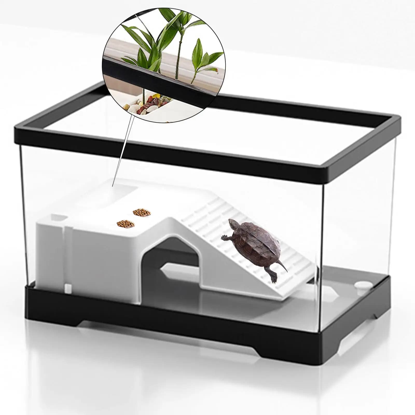 Boîte de cache-tortue multifonctionnelle avec plate-forme, terrapin précieux, zone Kiev itat de tort