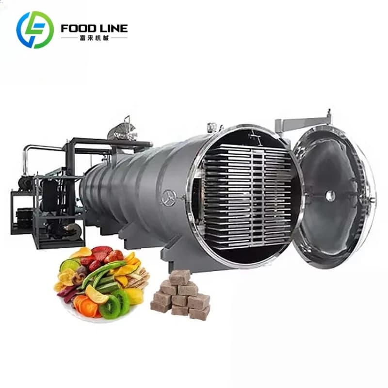 Lyophilisateur sous vide personnalisé 500-2000 kg, processeur de fruits et légumes, protéines granul