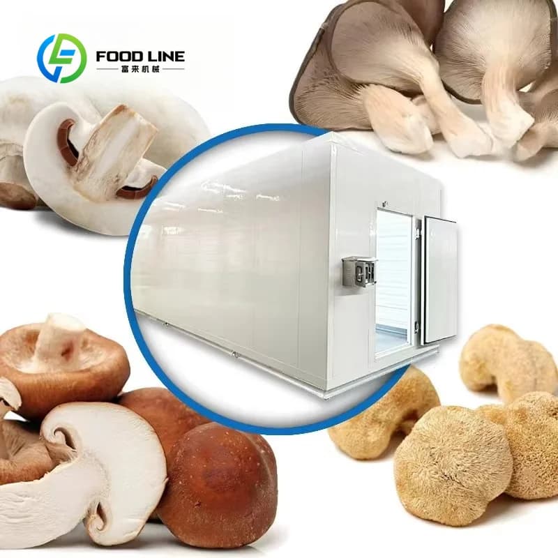 Système de culture de champignons en serre préfabriquée éco-responsable et économe en énergie avec t