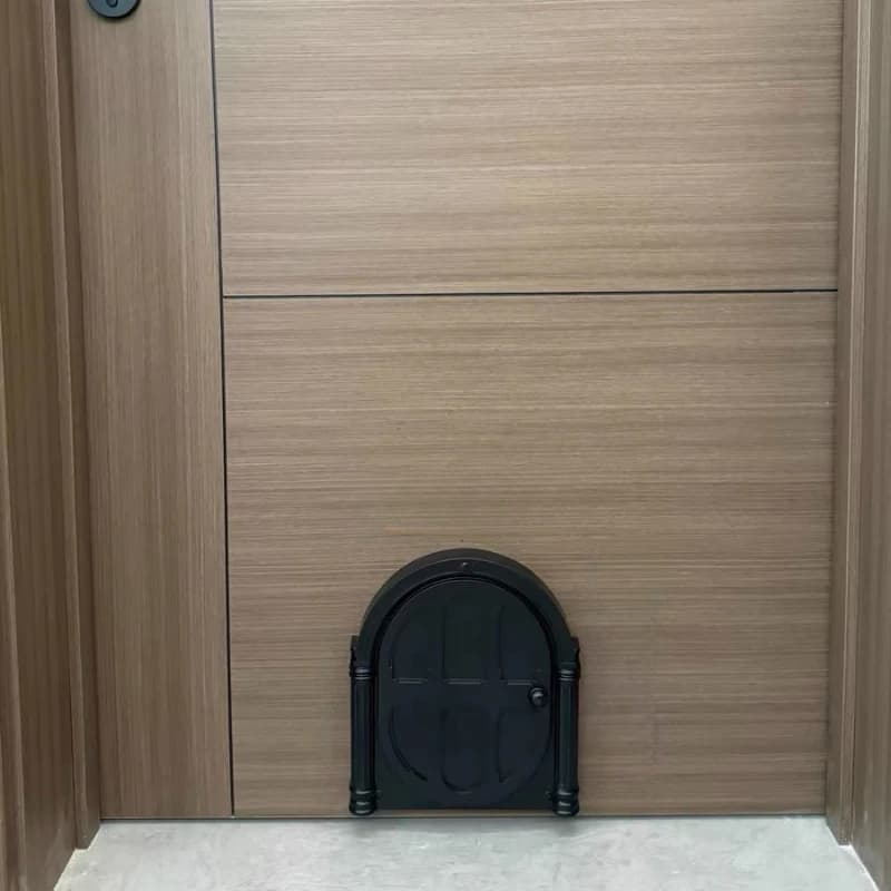 Porte pour animaux de compagnie en ABS, porte pour chat, porte pour chien, entrée et sortie sécurisé