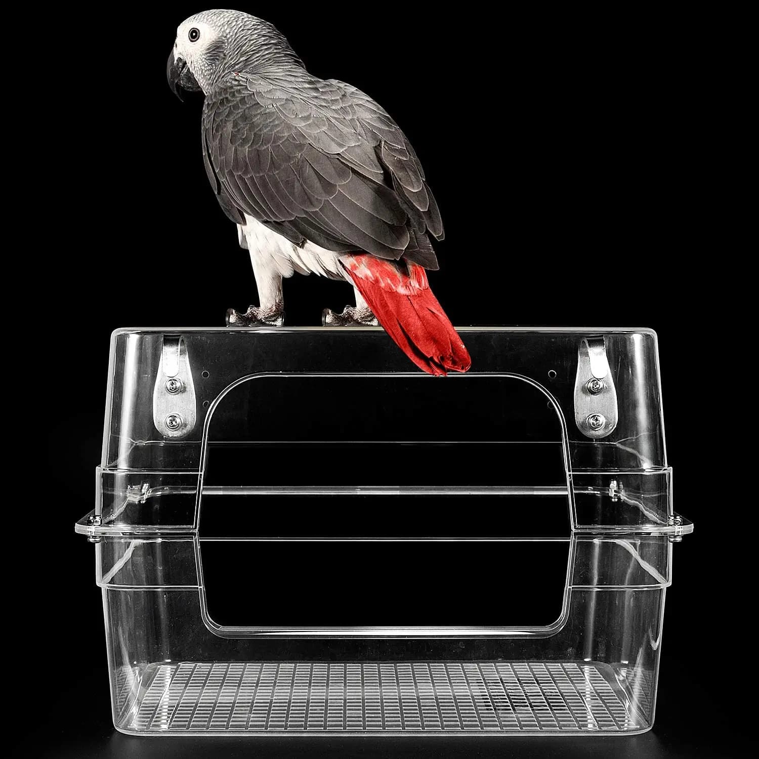 Grande baignoire transparente pour oiseaux, bain d'oiseaux pour perroquets, piscine transparente pou