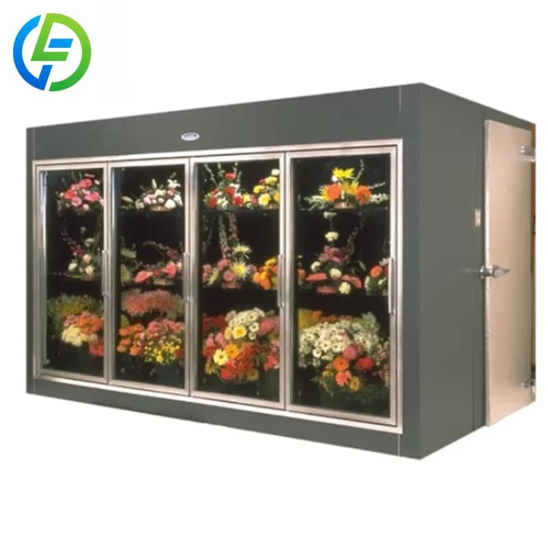 FOODLINE Réfrigérateur commercial personnalisé avec 10 portes vitrées, facile à utiliser, pour fleur
