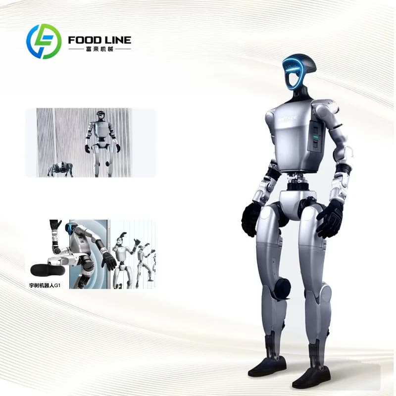 Robot de soins à domicile IA, intégré en usine, humanoïde intelligent, argenté, personnalisable, fle