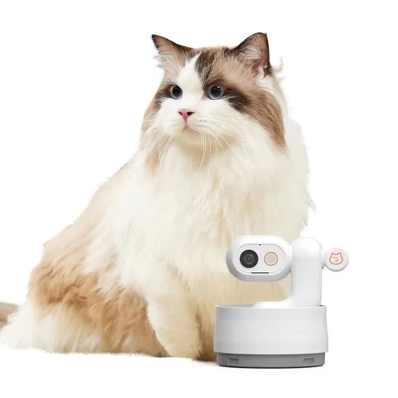 Caméra de vlog pour chat Ai, moniteur d'activité pour animaux de compagnie avec application, caméra