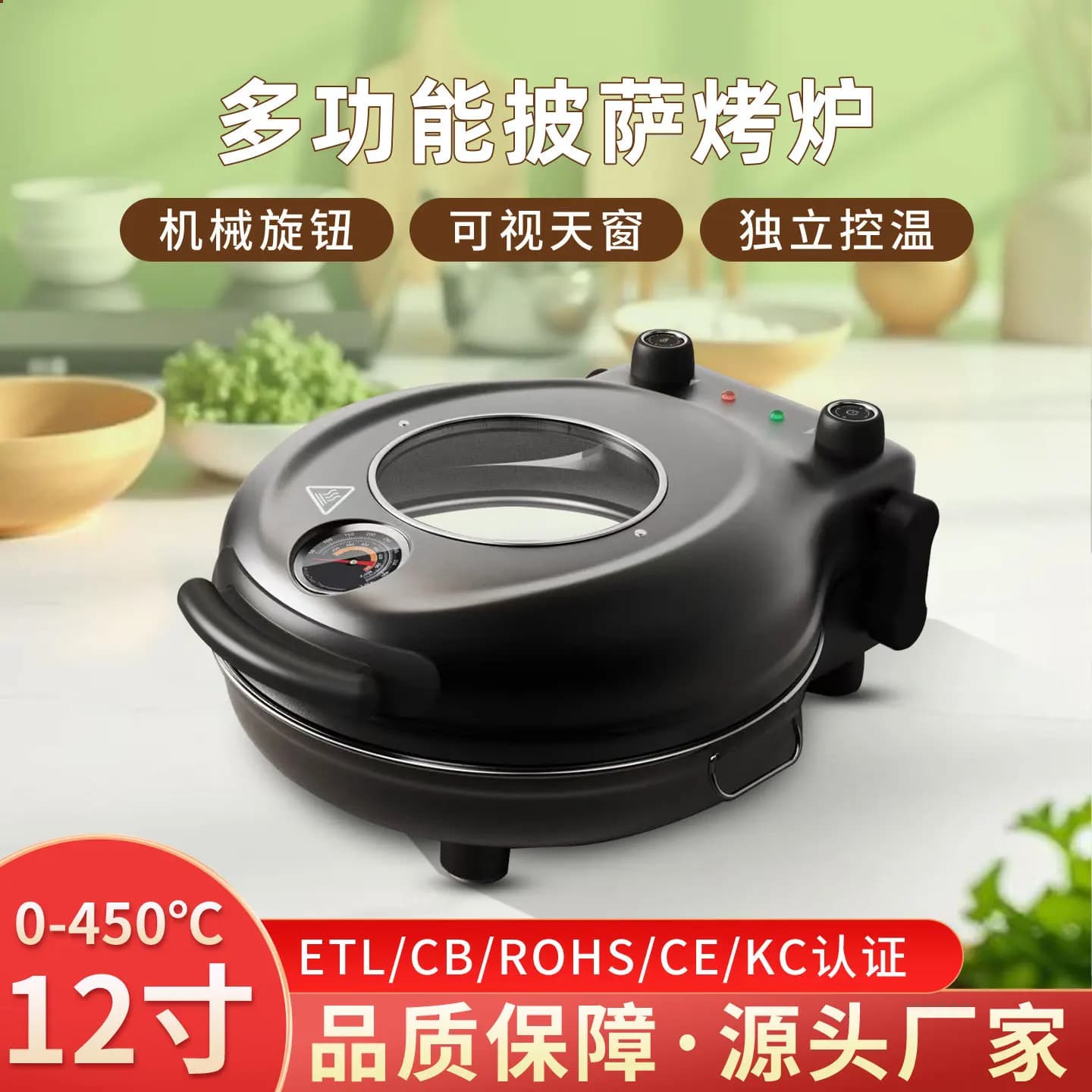 Nouveau modèle 2026 Four à pizza électrique domestique avec plaque de cuisson 220V Prise UE 110V dis