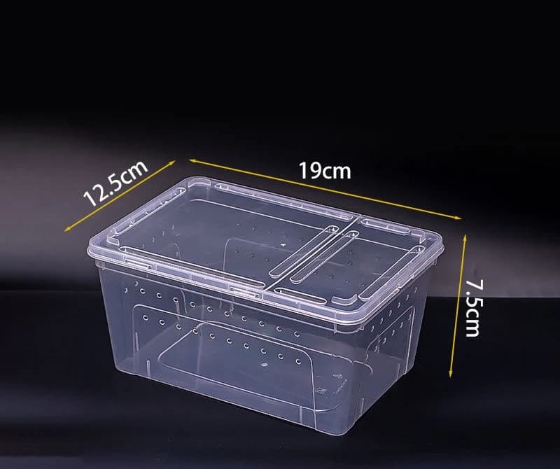 Boîte d'élevage de reptiles, terrarium, réservoir pour tortues, cage pour ver à soie, araignée, gren